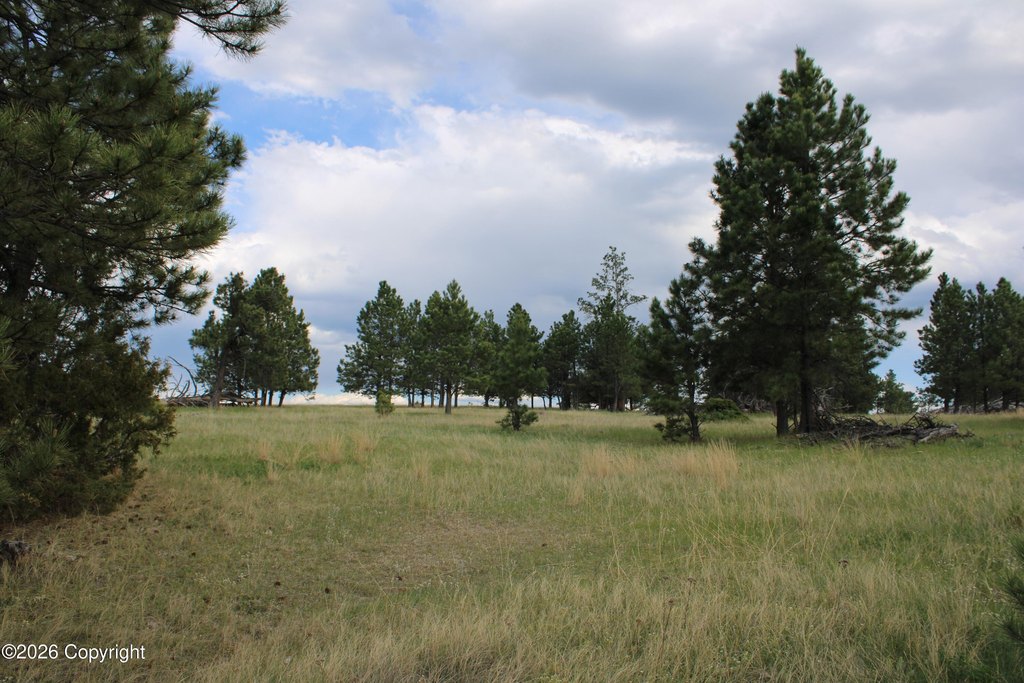 Picture 32