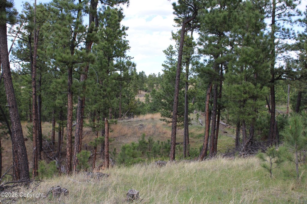 Picture 31