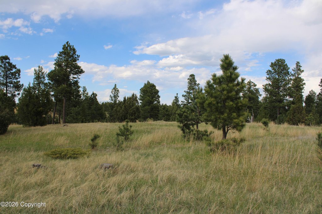 Picture 29
