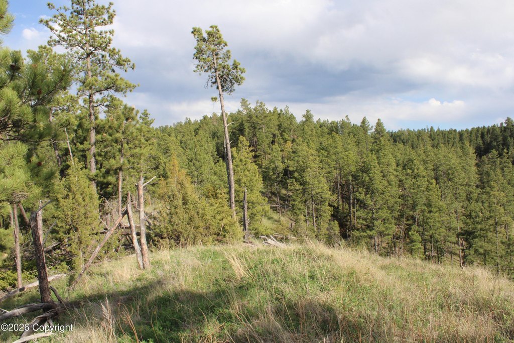 Picture 40