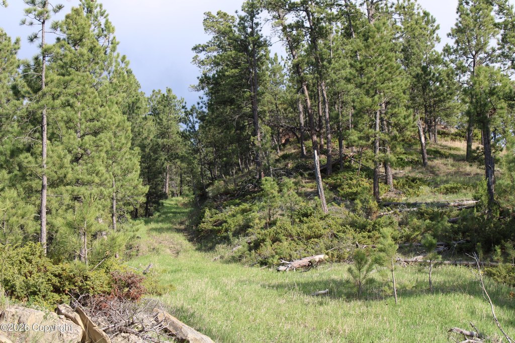 Picture 41