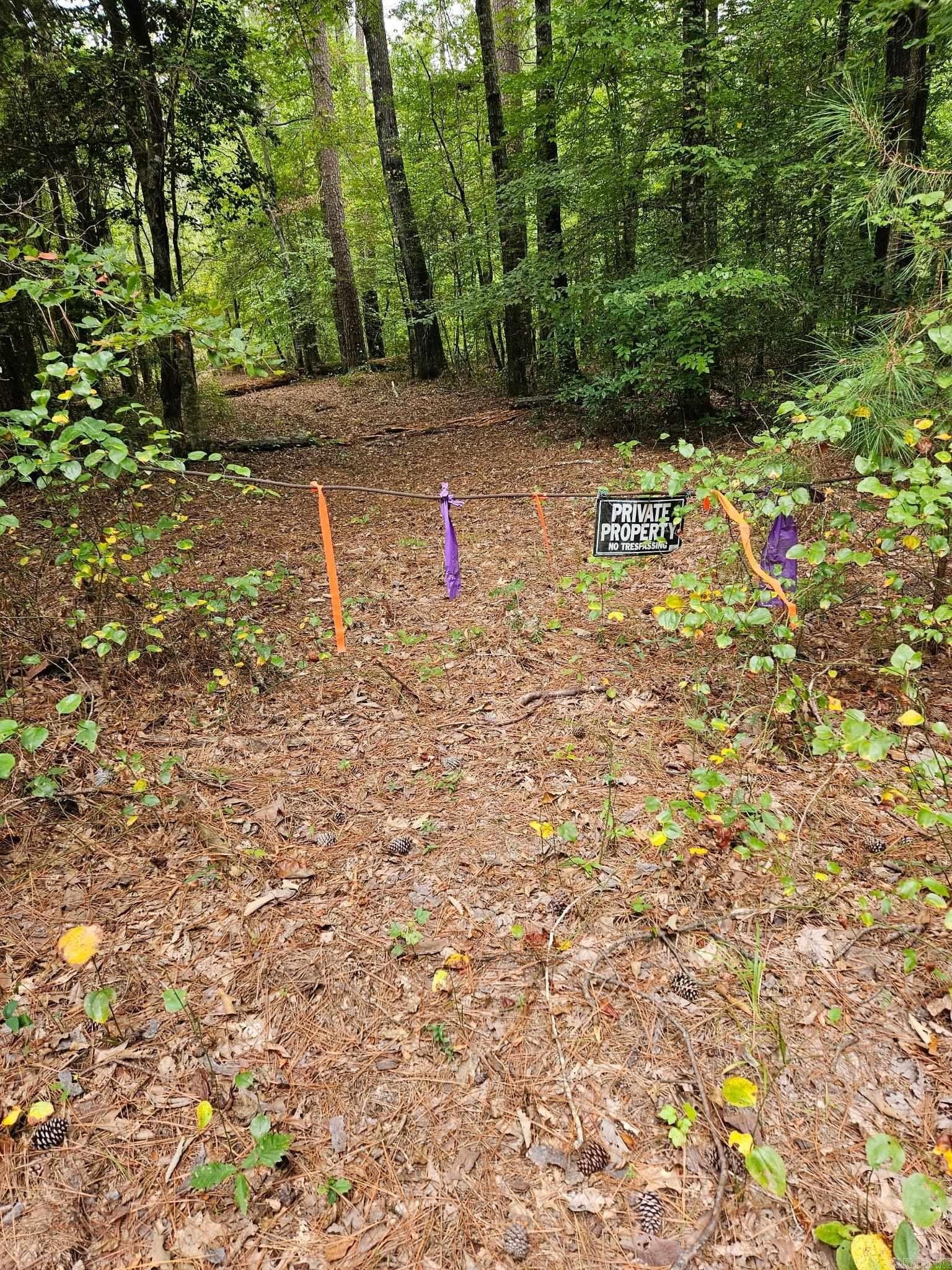 28 Acres of Hunting Land