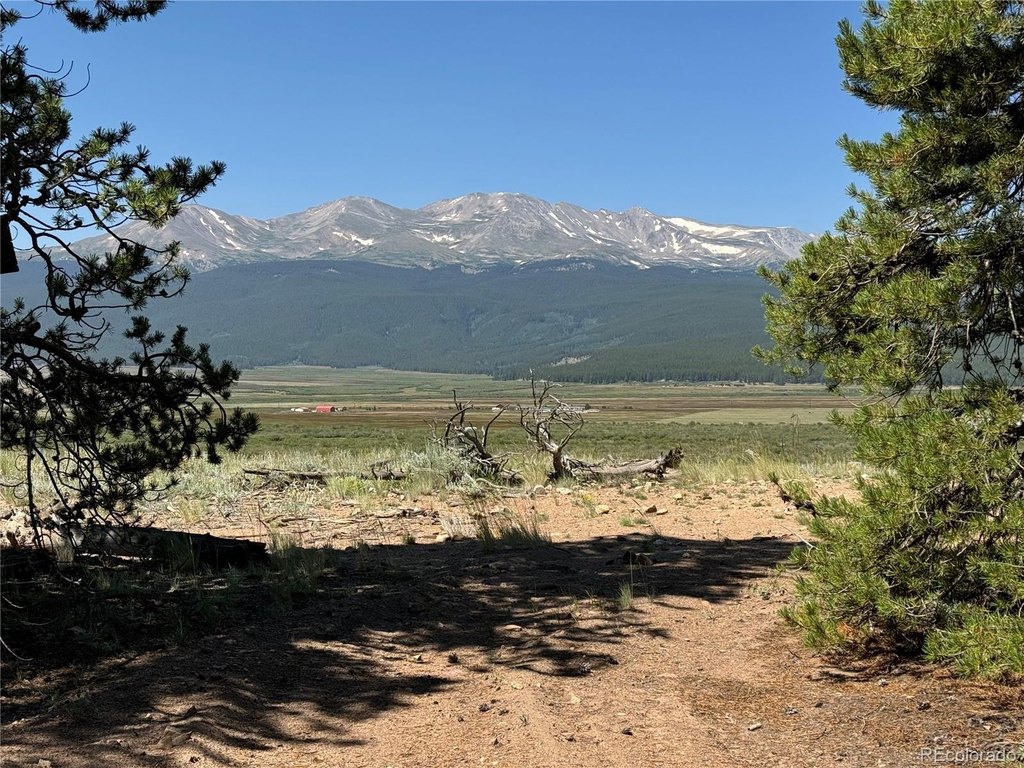Picture 20