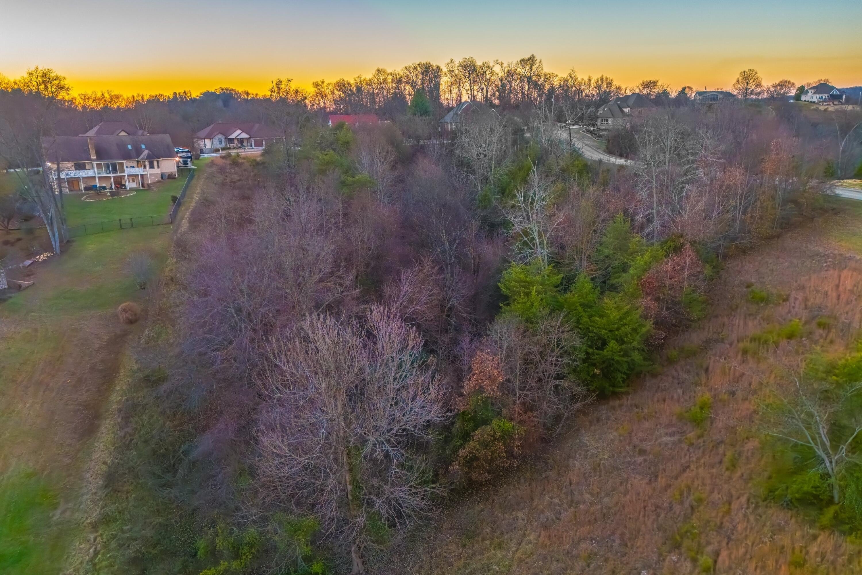Douglas Lake Waterfront Land