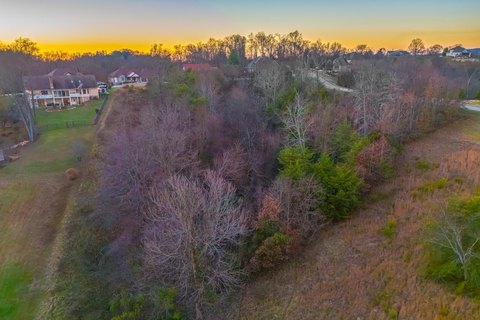 Douglas Lake Waterfront Land