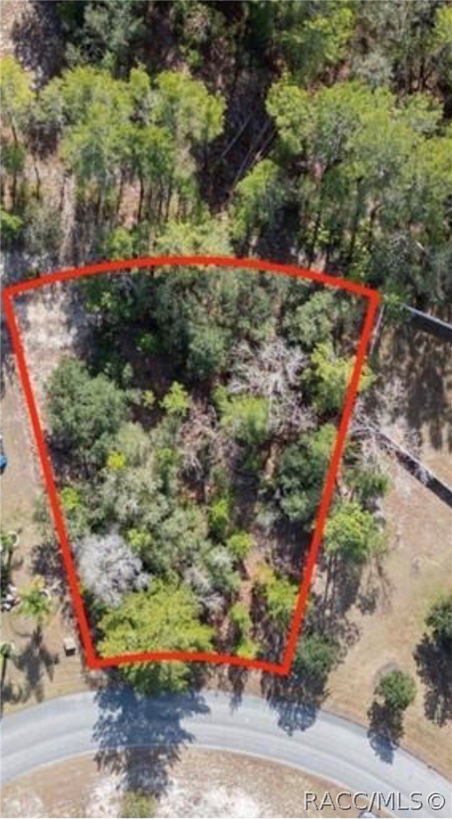 Homosassa Land in Cypress Village