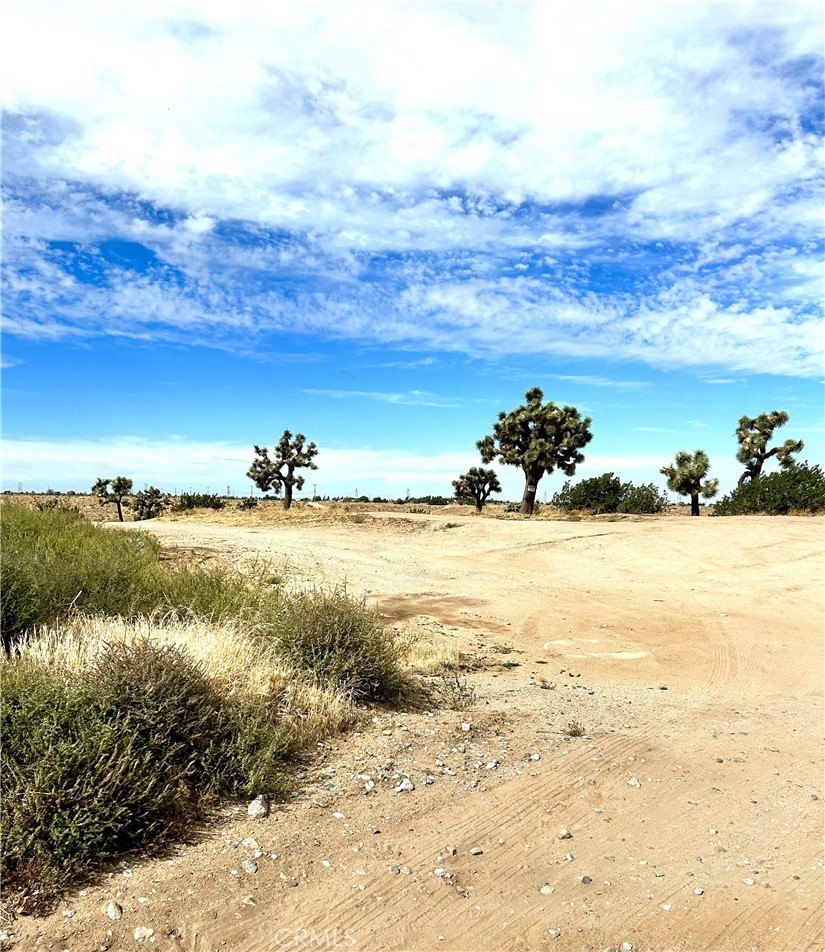 Helendale Land For Sale