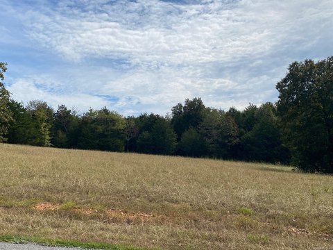 Residential Lot in Castlepines Sub