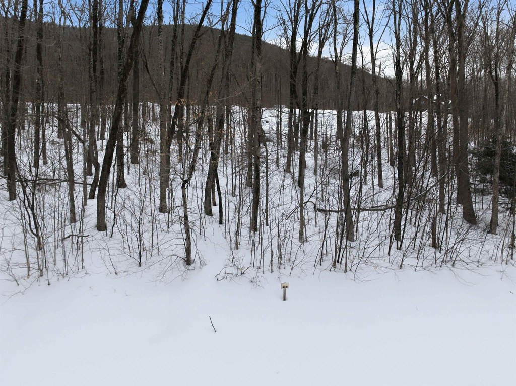 Picture 16