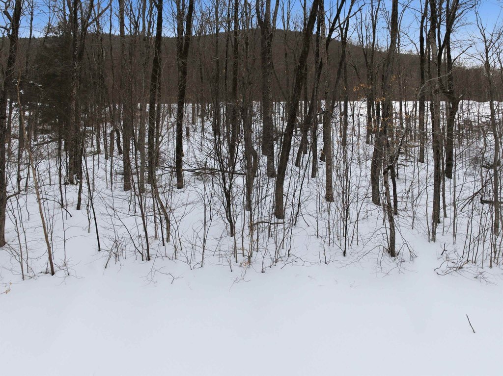 Picture 18