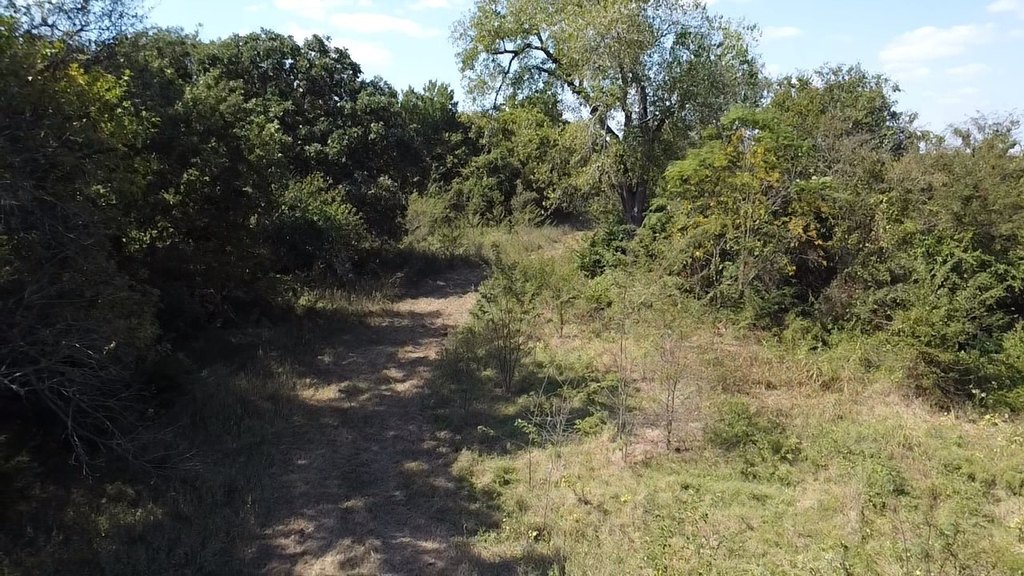 Picture 31
