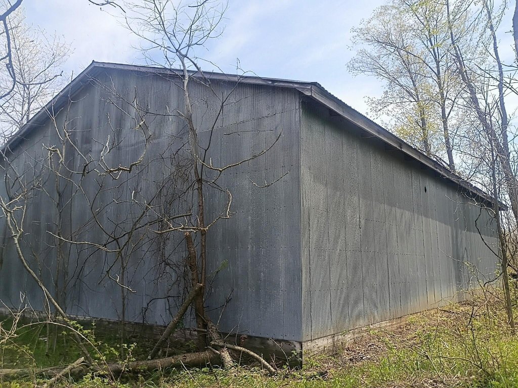 Picture 17