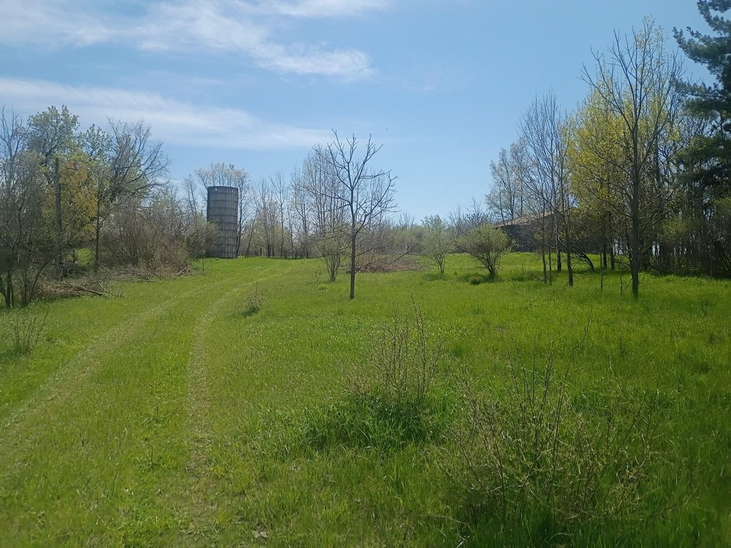 Picture 22