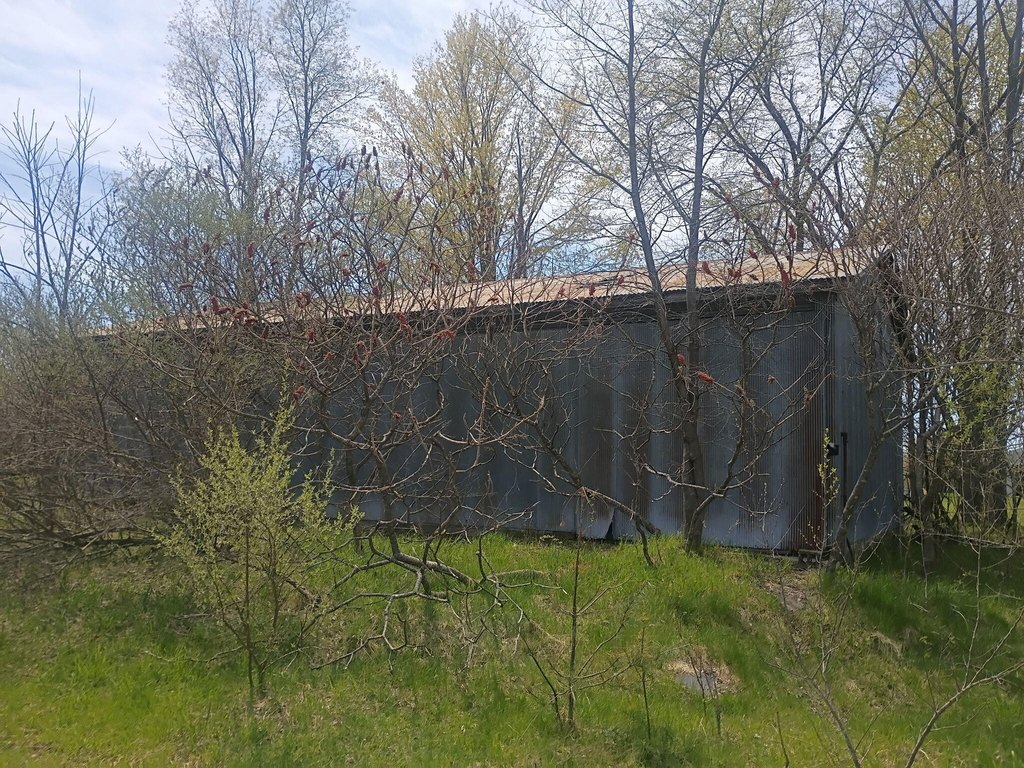 Picture 18