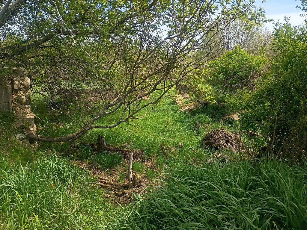 Picture 20