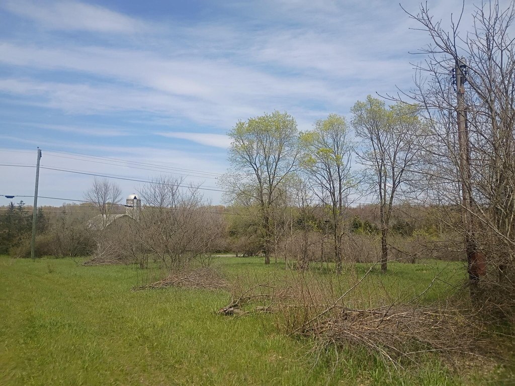 Picture 16