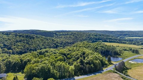 Vacant Land Near State Forest