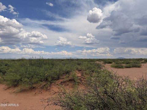LAND - Douglas, AZ