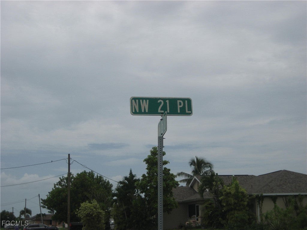 Picture 8