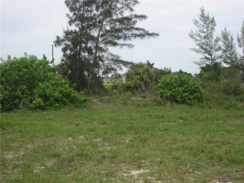 Picture 4