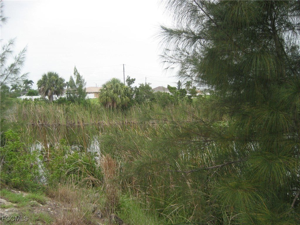 Picture 16