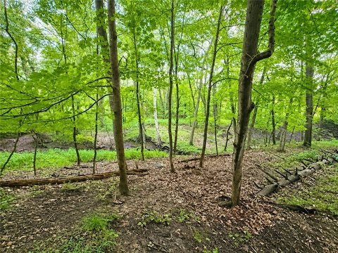 Land, Rochester, NY