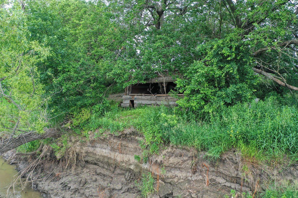Picture 21