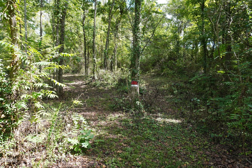 Picture 25