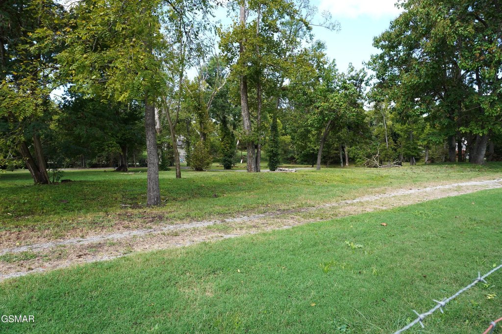 Picture 19