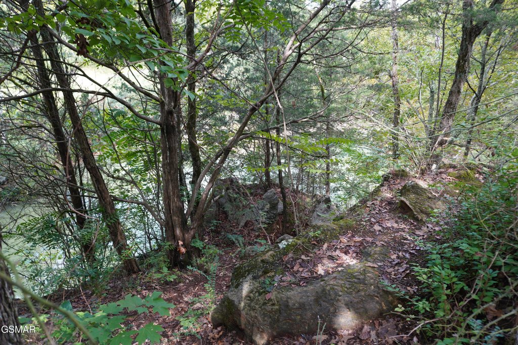 Picture 27