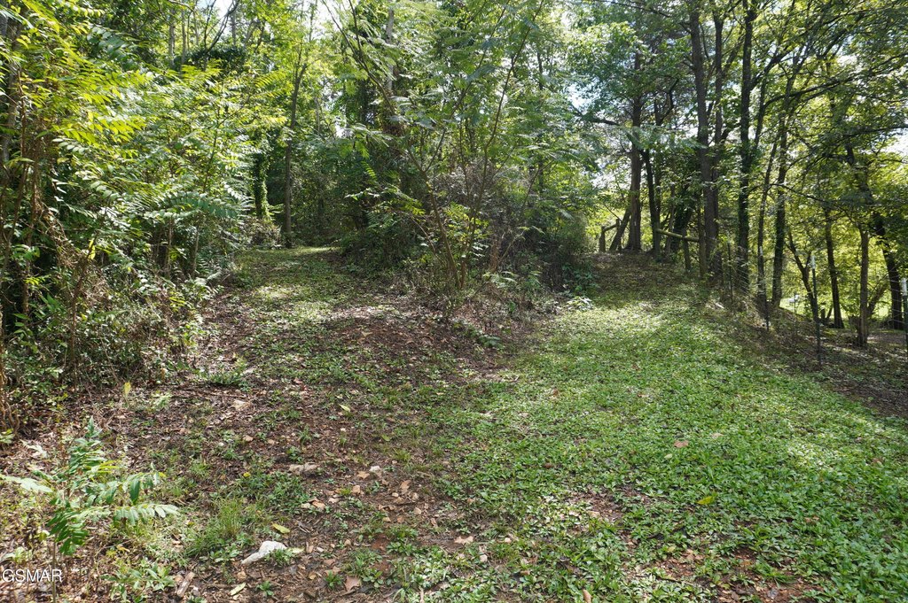 Picture 23