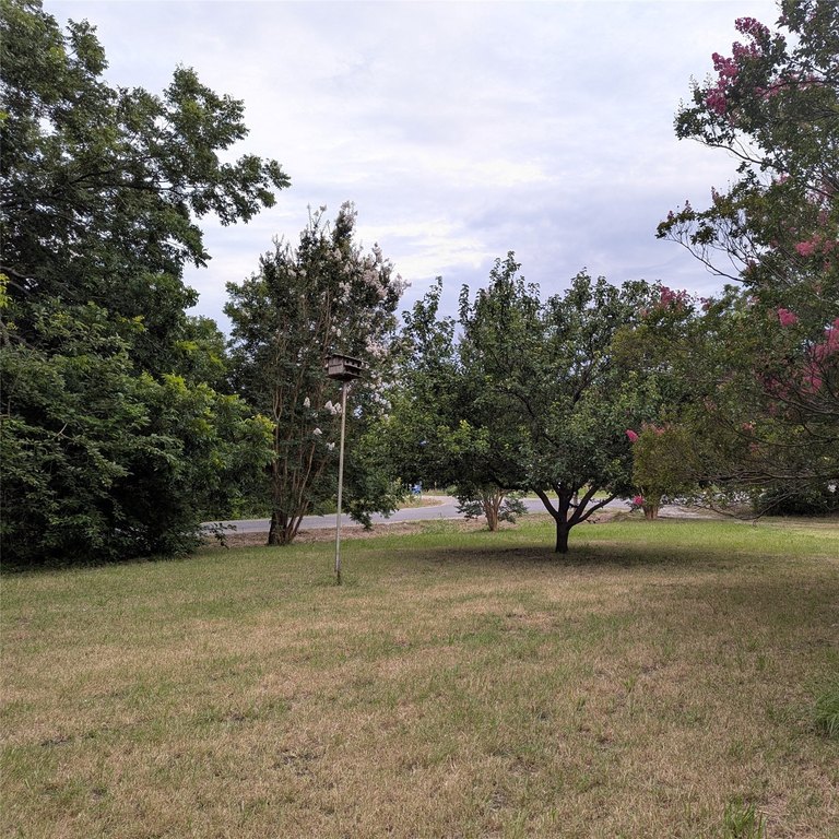 Picture 5