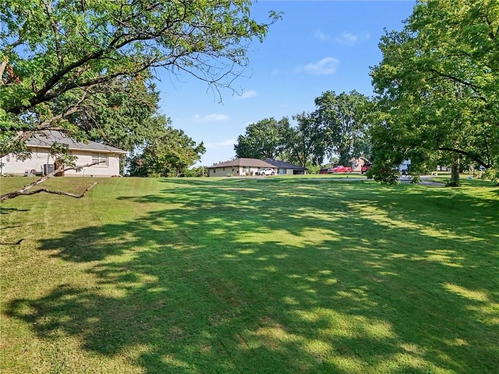 Picture 5