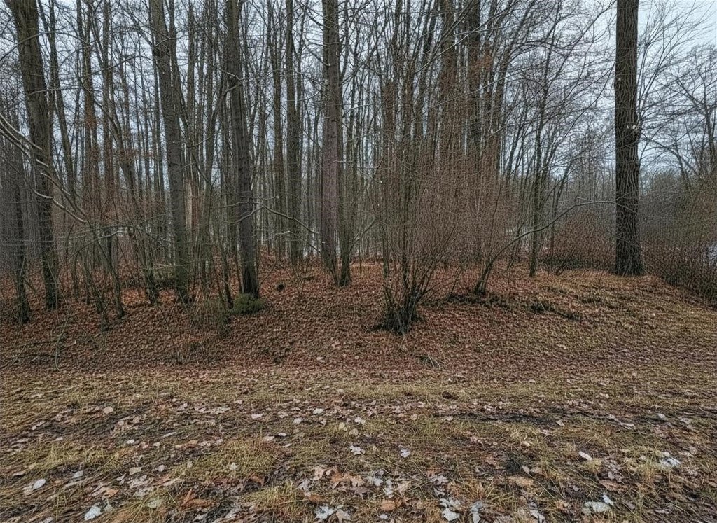Picture 7