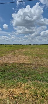 LAND - Sinton, TX