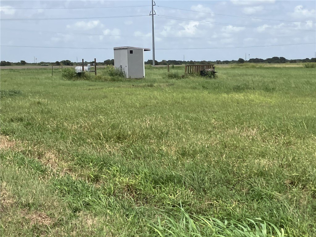 Picture 6