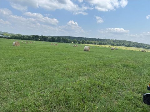 40 Acres of Pasture Land