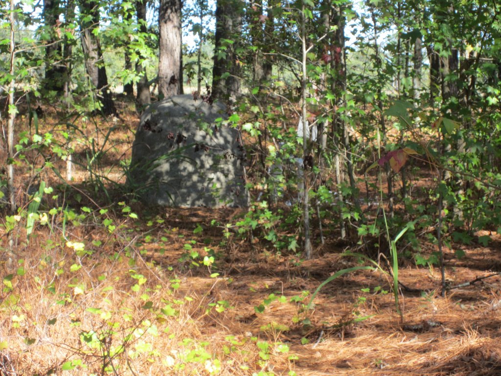 Picture 17