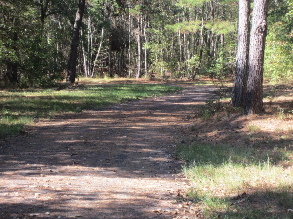 Picture 16