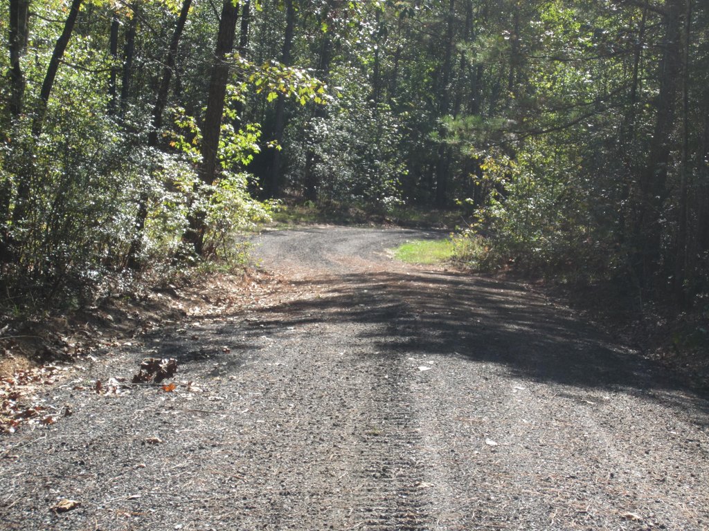 Picture 4