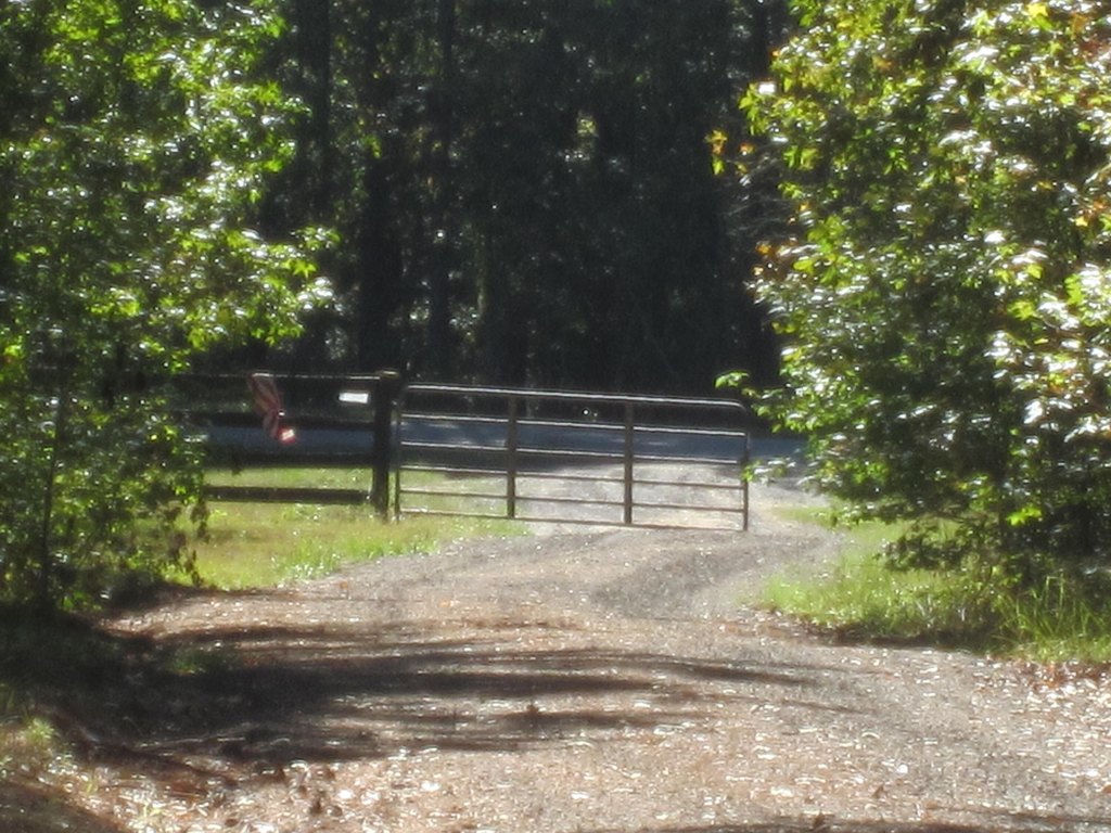Picture 19