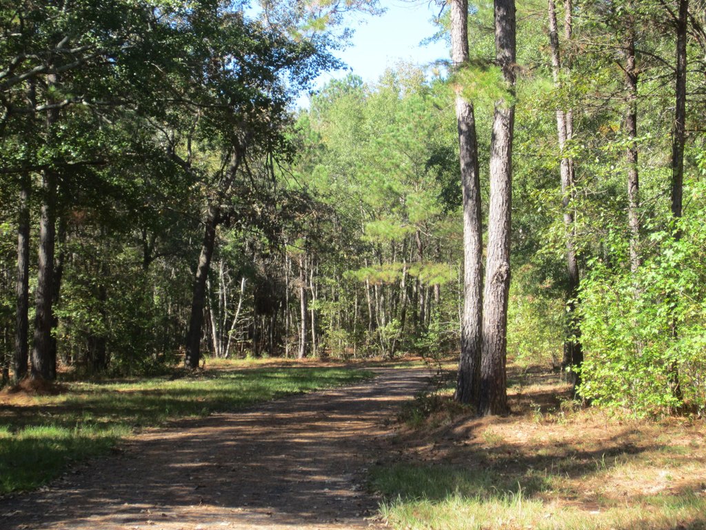 Picture 11
