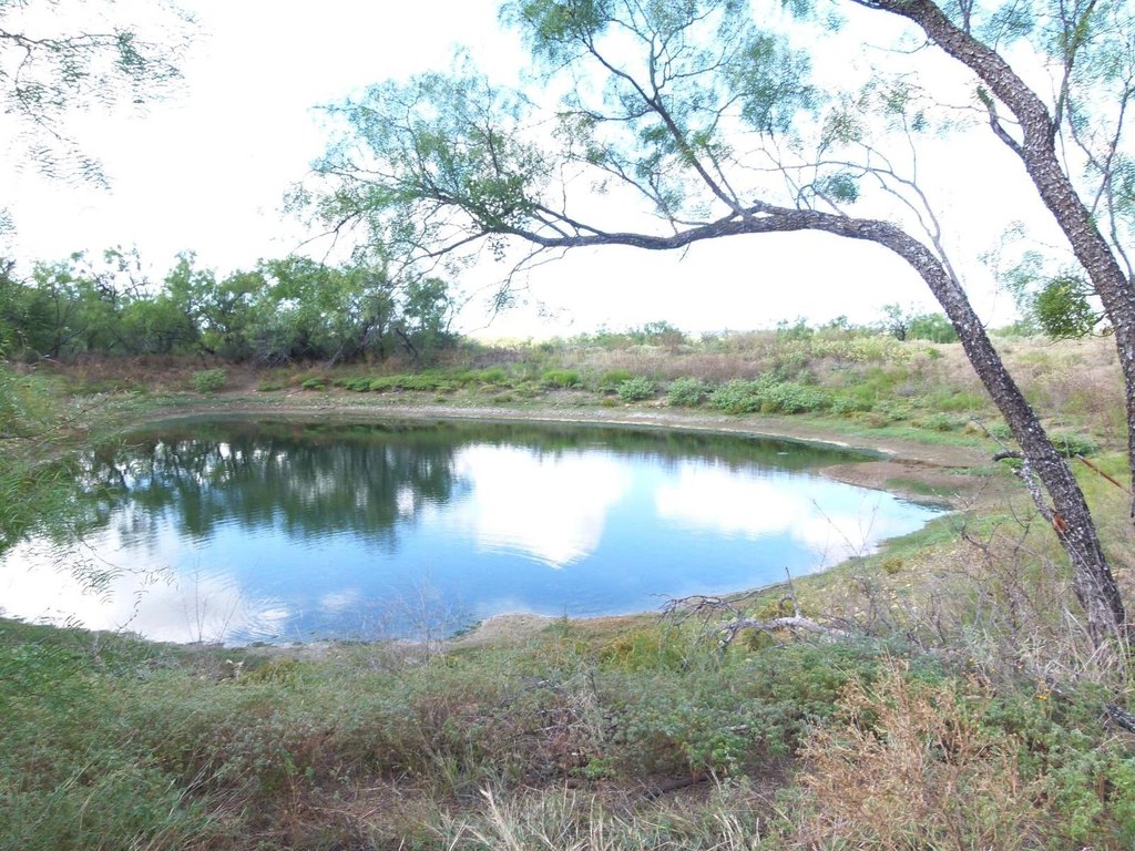 Picture 57