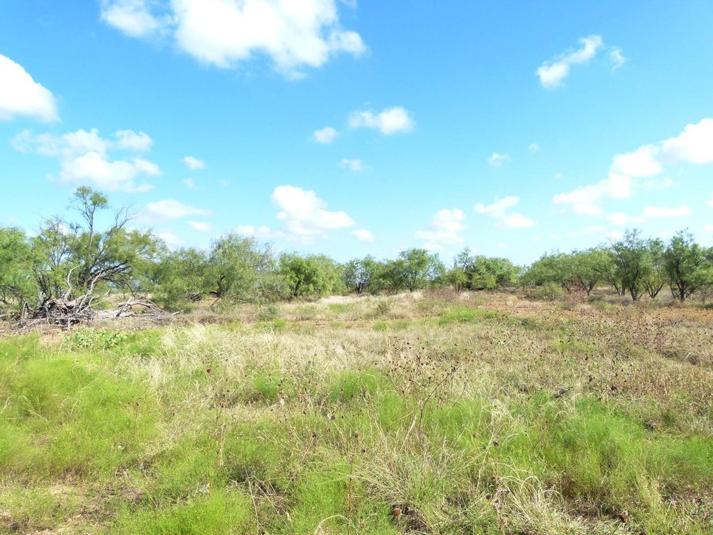 Picture 37
