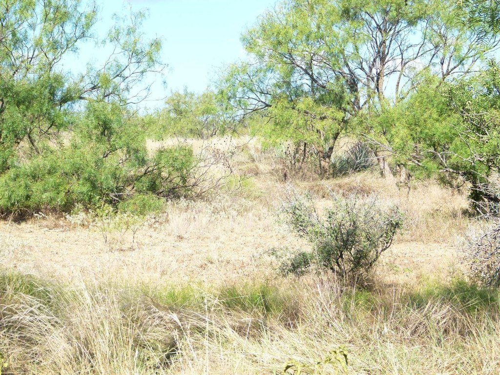 Picture 33