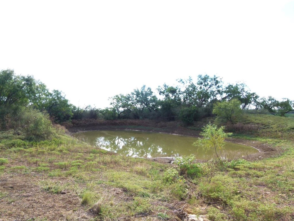 Picture 63