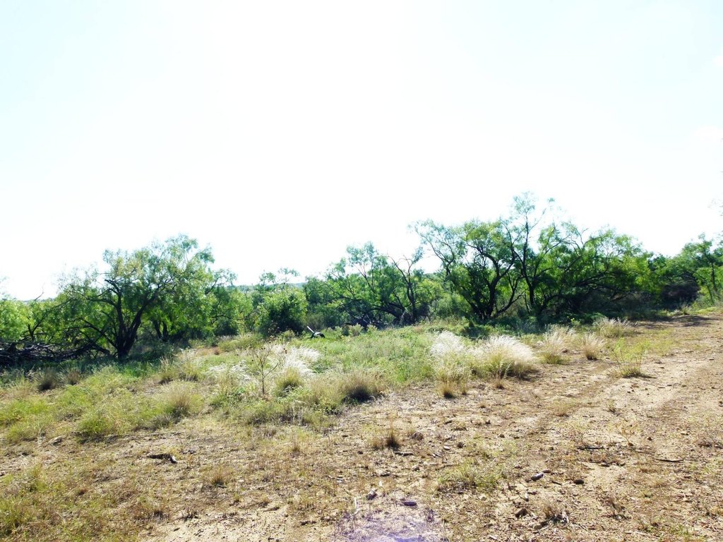 Picture 26