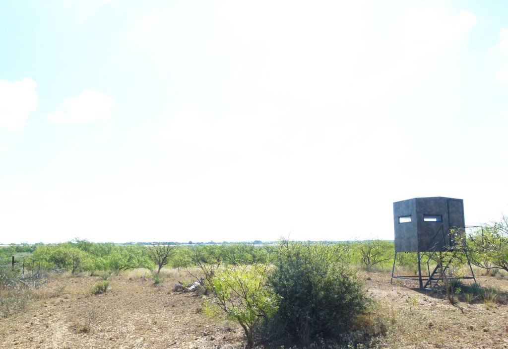 Picture 41