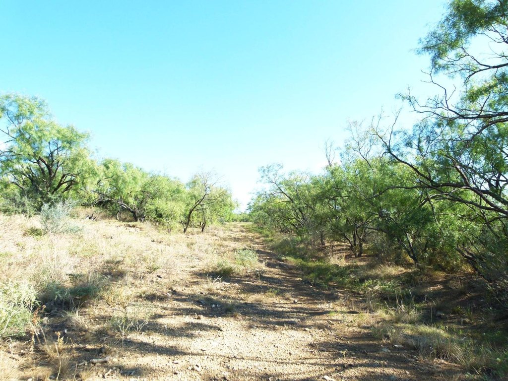 Picture 31