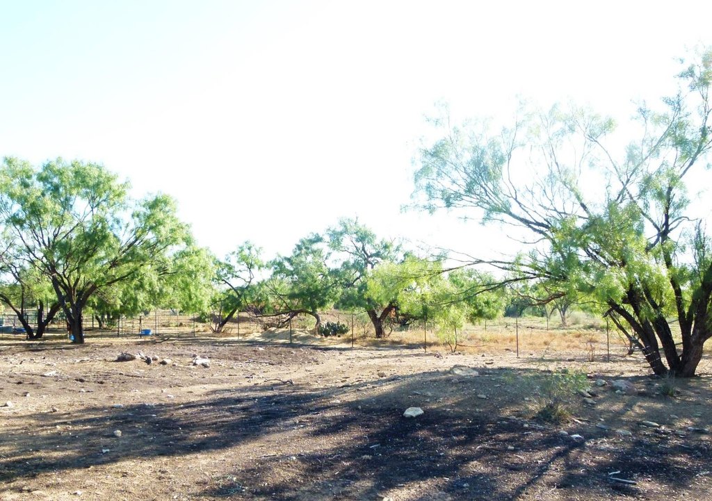 Picture 19